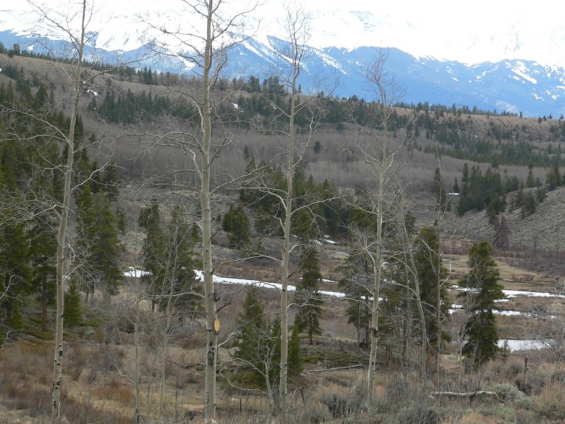 Top Colorado Land for Sale • Mirr Ranch Group