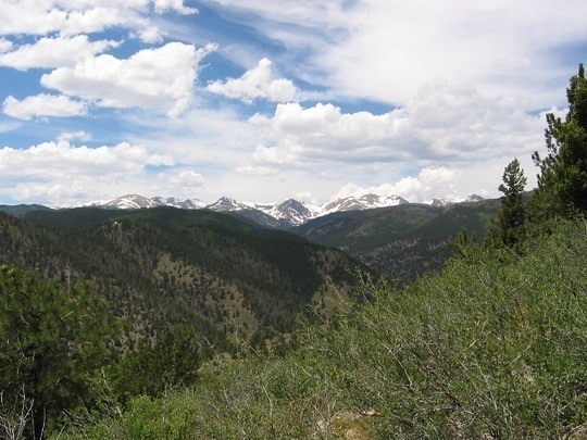 Central Colorado Mountain Land for sale through True West Properties and  Sports Afield Trophy Properties.